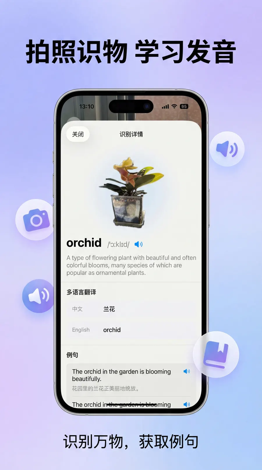 彩旗说拍照识物：单词、发音与例句